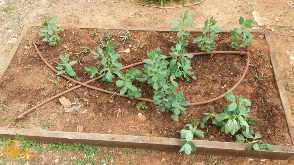 jsahrqwrjqlaskd (7).jpg